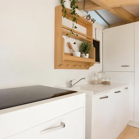 生态套房及spa酒店 4* 米兰